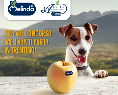 Concorso Melinda